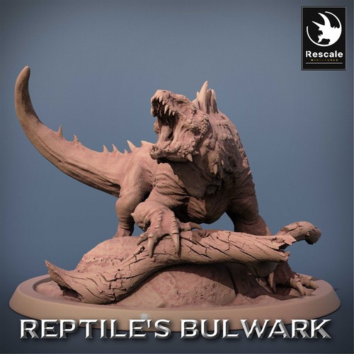 Varan lézard reptiles - d1,