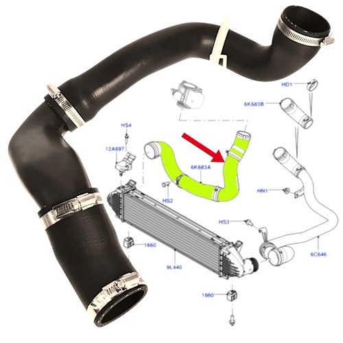 Durite turbo - , de