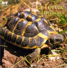 La tortue d'hermann, Unknown