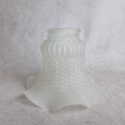 Ancien globe fleur verre - globe,