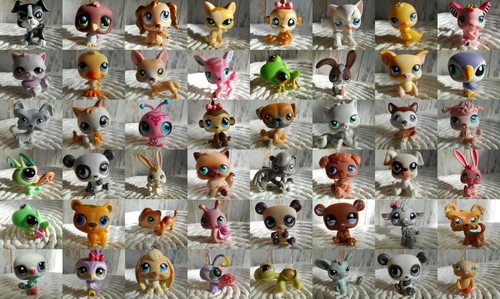 Petshop pet shop - pet, lps