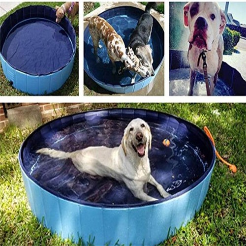Piscine pour chien - pour, pliante
