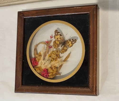 Cadre avec papillon - avec,