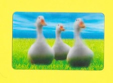 Carte Cora / Match - N°20/44