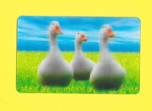 Carte cora match - match,