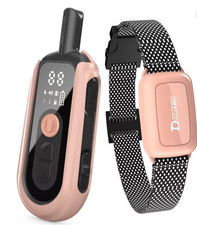 Collier Dressage Chien