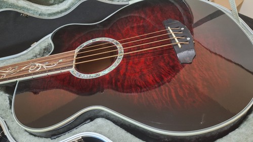 Michael kelly dragonfly - michael, 4