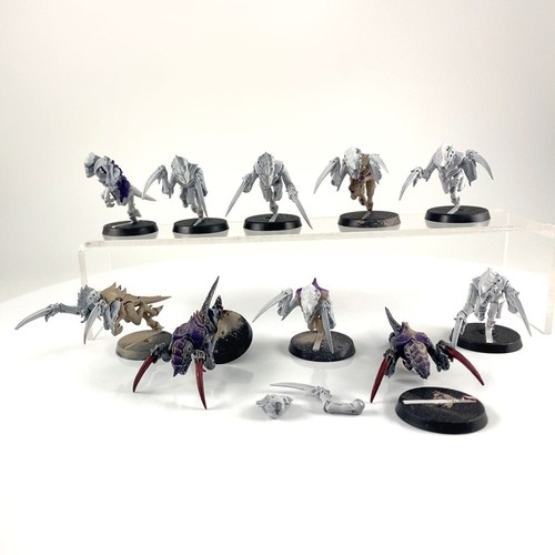 X10 hormagaunts anciens - x10,