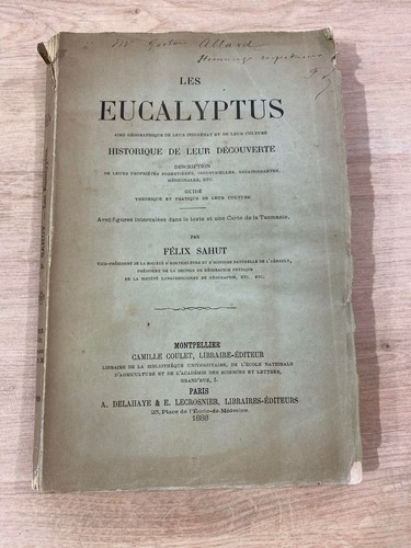 Les eucalyptus félix - les,