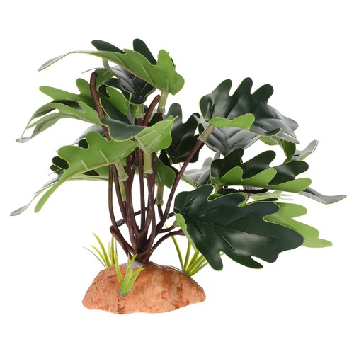Décoration terrarium - décoration,
