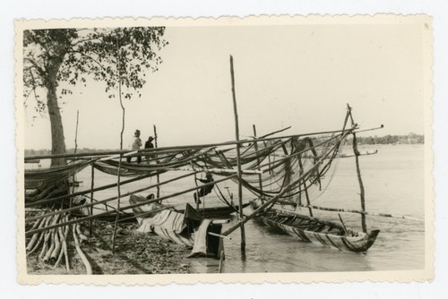 Carte photo photographie - carte,