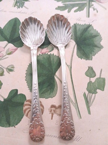 Rare pelles cuillères à - pelles,