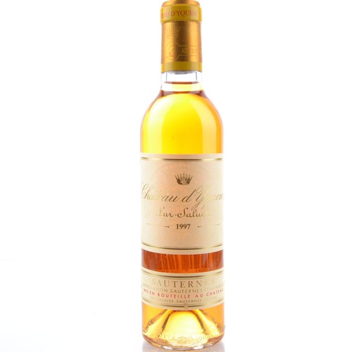 Chateau yquem 1997 1er cru - 1997,
