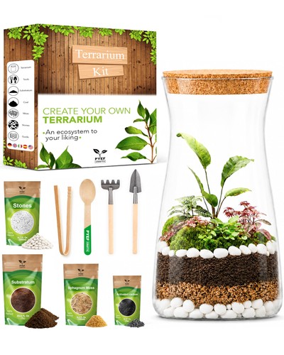 Terrarium kit for plants - terrarium, diy