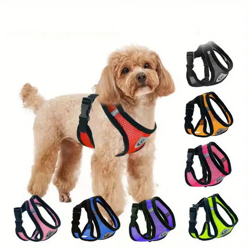 Harnais pour chien taille - harnais, l