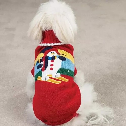 Zack zoey skiing snowman - zack, dog