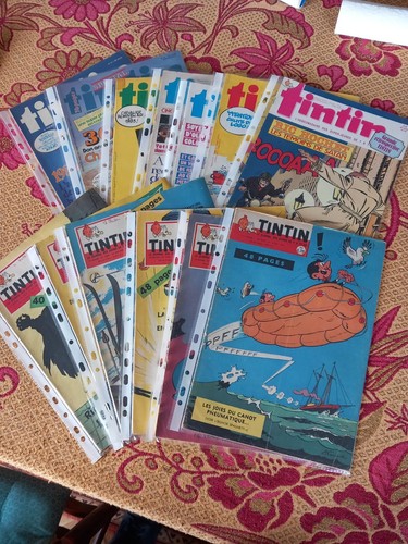 Lot 13 journal - -,