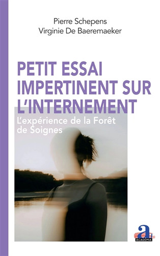 Petit essai impertinent sur