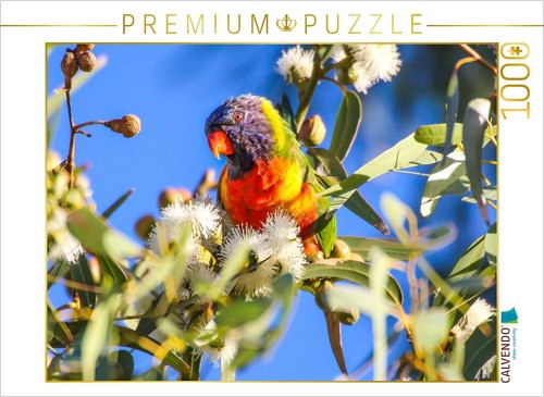 Puzzle calvendo loriquet - puzzle,