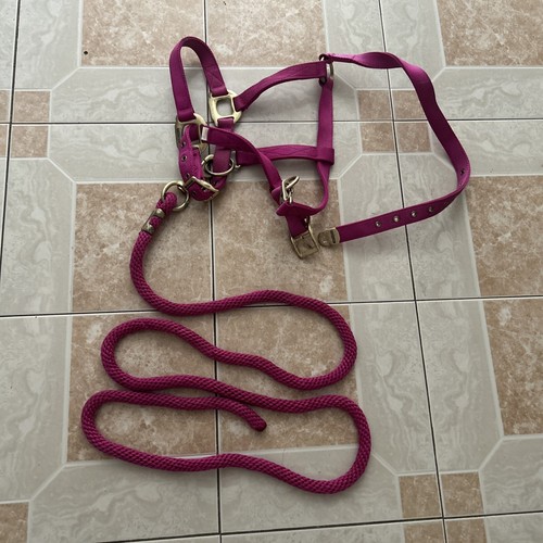 Harnais cheval equi - cheval, equi-theme