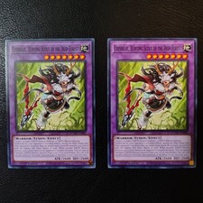 2x Chevreuil, Hunting Scout of