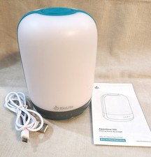 Alpenglow Multicolor USB Lantern with Rechargeable Battery and Charging Port