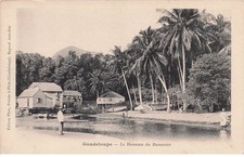 GUADELOUPE banana hamlet
