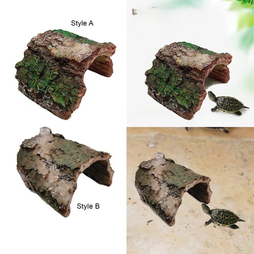 Habitat pour tortues dans - tortues, un