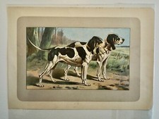MAHLER PAUL(XIX-XXEME)-CHROMOLITHO. ORIG.CHIENS-GASCON SAINTONGEOIS- 1907