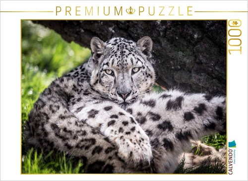 Calvendo puzzle ein - calvendo,