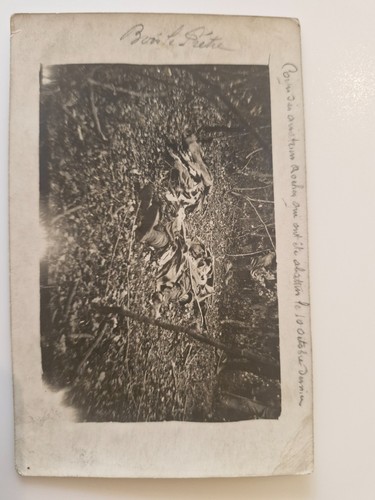 Rare lot cpa bois le - 2,