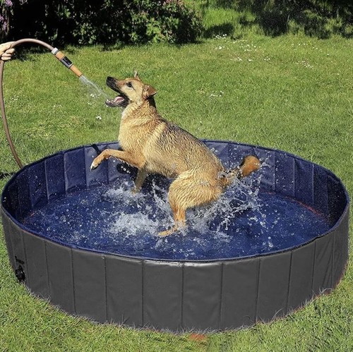 Piscine pour chiens 120 h - pour,