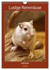 Des gerbilles amusantes (Calendrier mural 2026 DIN A4 vertical), CALVENDO calend