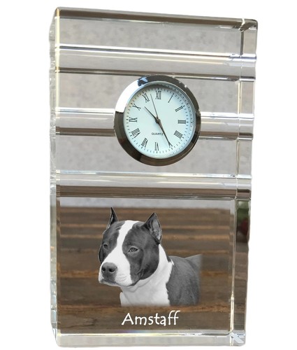 American staffordshire - american,
