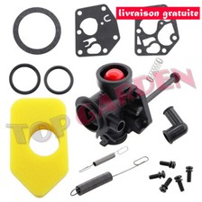 Carburateur pour Briggs &