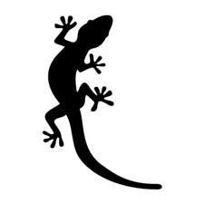 Sticker autocollant gecko