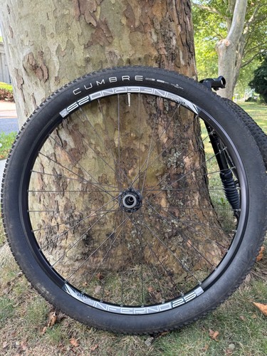Cannondale lefty - lefty, 29”