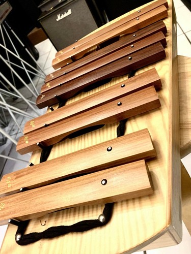 Xylophone studio ax - 49, 1000