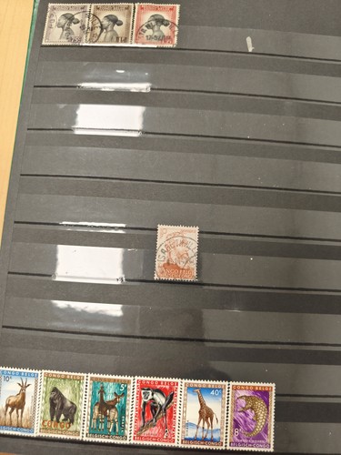 Lot timbres congo belge - lot,