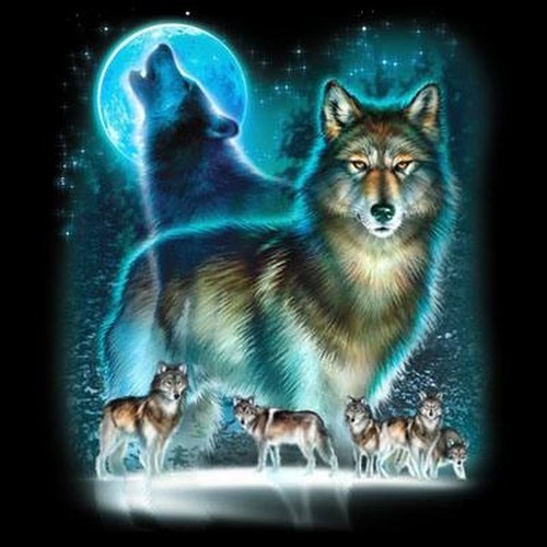 Wolf moon silhouette shirt - wolf,