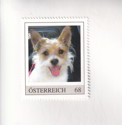 Timbre autriche chiens - timbre,