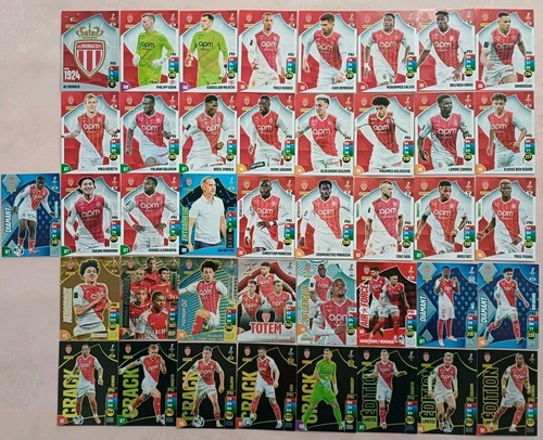 Panini adrenalyn ligue1 - panini,