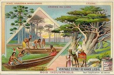 CHROMO EXTRAIT DE VIANDE