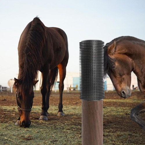 Griffoir pour chevaux