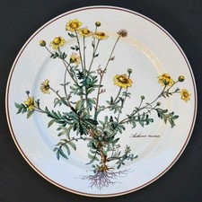 Sublime GRANDE ASSIETTE