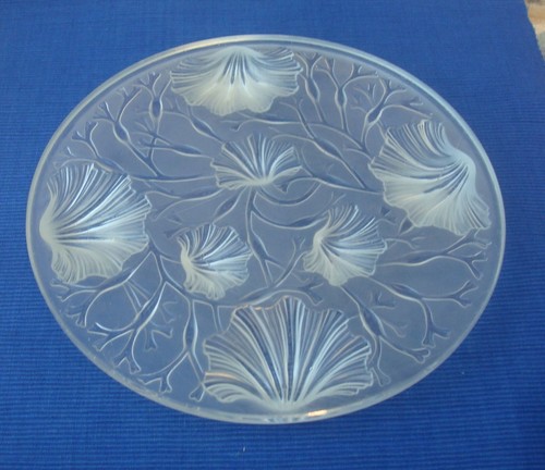 V48 dessous plat verlys verre - dessous,
