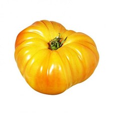 25 Graines de Tomate Ananas