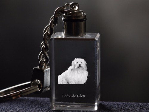 Coton tuléar porte clés - tuléar, porte-clés