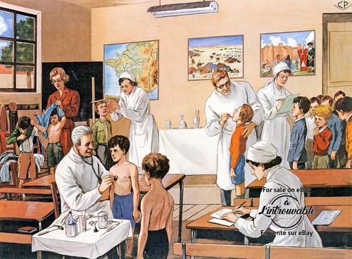 Reproduction rossignol - reproduction,