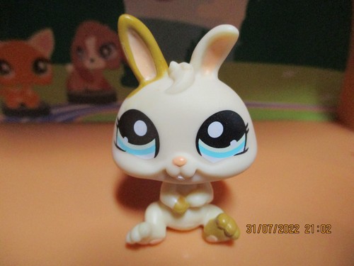 Petshop lapin nain 1372 - lapin,